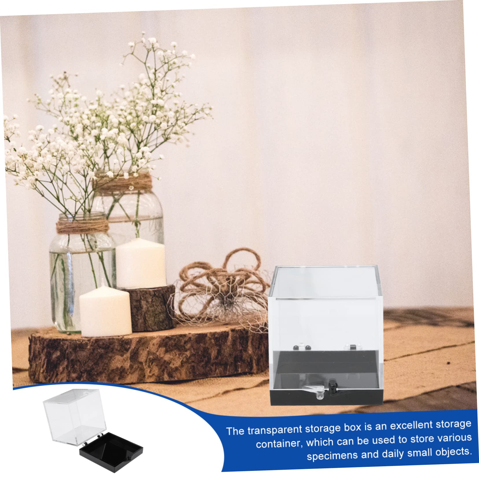 PRETYZOOM Boîte de Rangement Carrée Protection Optimale pour Spécimens Minéraux 8 Pcs en Plastique Transparent Résistante aux Chutes pour Collection et Exposition
