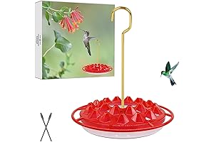 Attractive 2-in-1 Hanging Hummingbird or Oriole Feeder