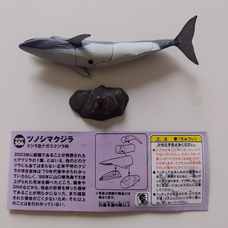 Amazon.co.jp: 海洋堂 チョコQ ツノシマクジラ シークレット