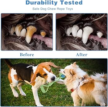 Youngever 6er Pack Hundeseilspielzeug Set Fu00fcr Welpe Hunde, Welpen
