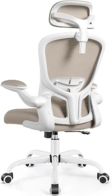 人間工学SIHOO Doro C300 オフィスチェア ホワイト 人間工学SIHOO Doro C300 オフィスチェア ホワイト