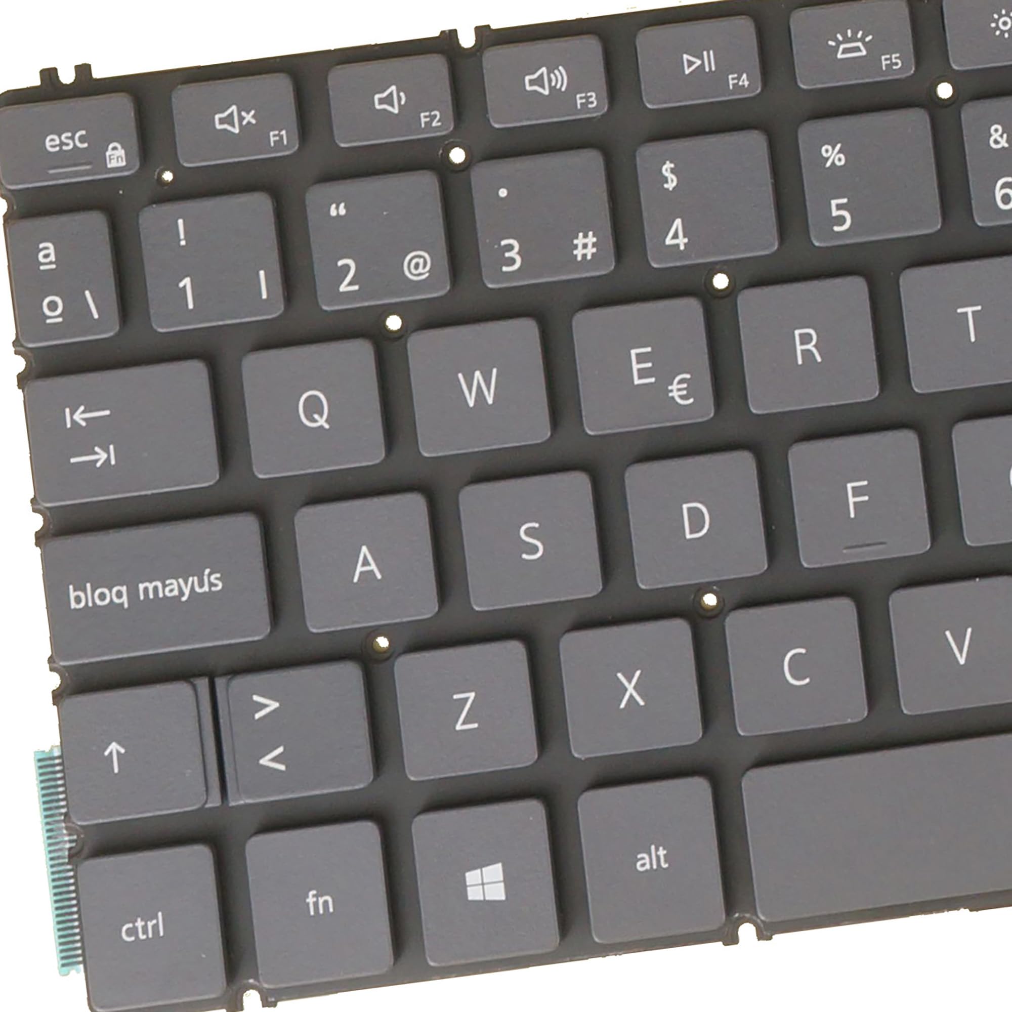 71tI9Xyv4kL.jpg