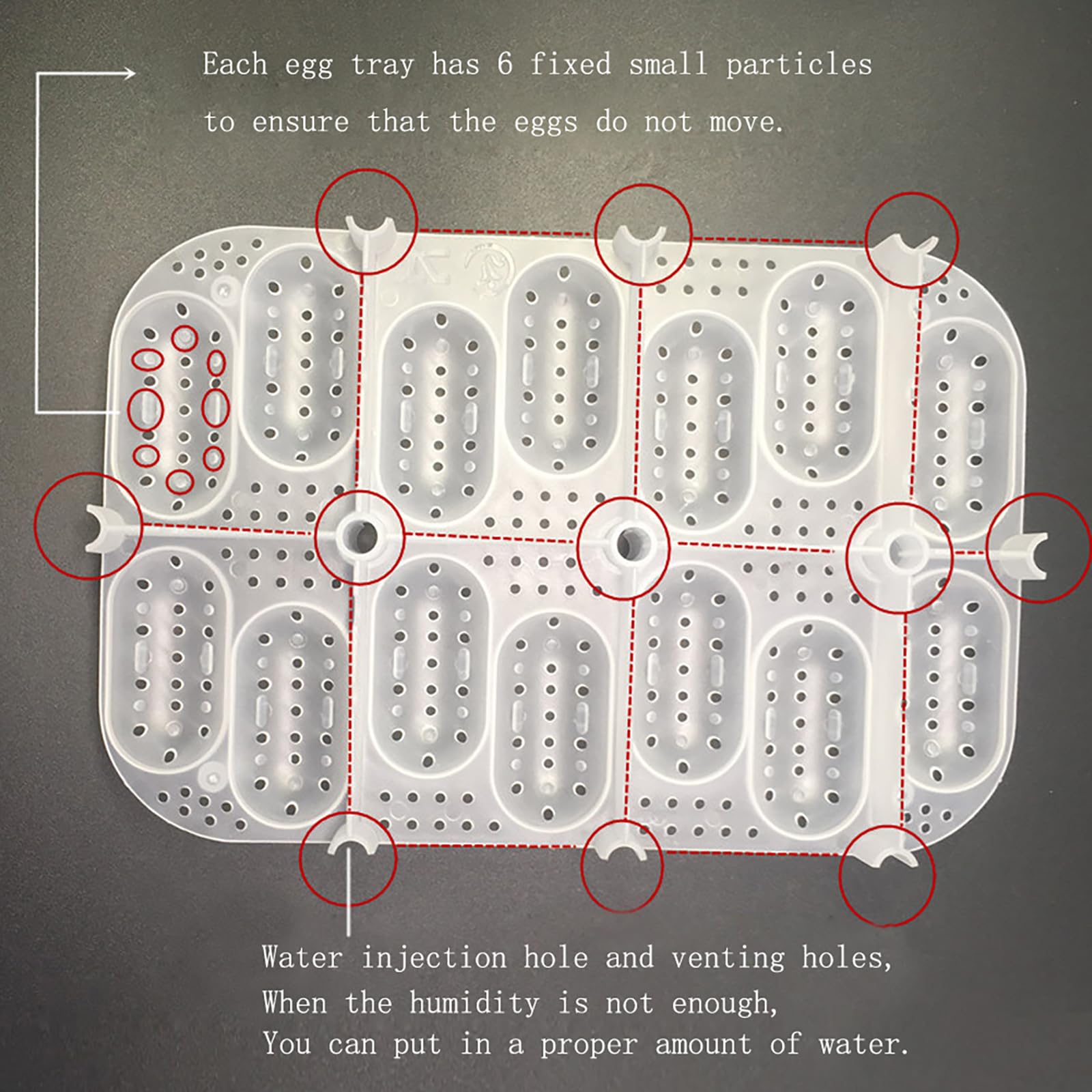 Incubatrice Per Uova Rettili OMEM - Scatola Schiusa Per Serpenti E Lucertole - Foto 9