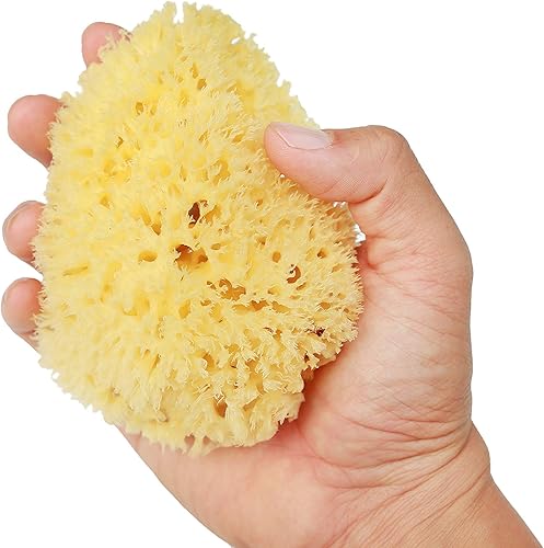 Miniatura 3 de Sponge Mate Esponja de baño para bebés (paquete de 2)  Cultivada en los Estados Unidos  Esponja de mar natural suave para bebés recién nacidos de 4