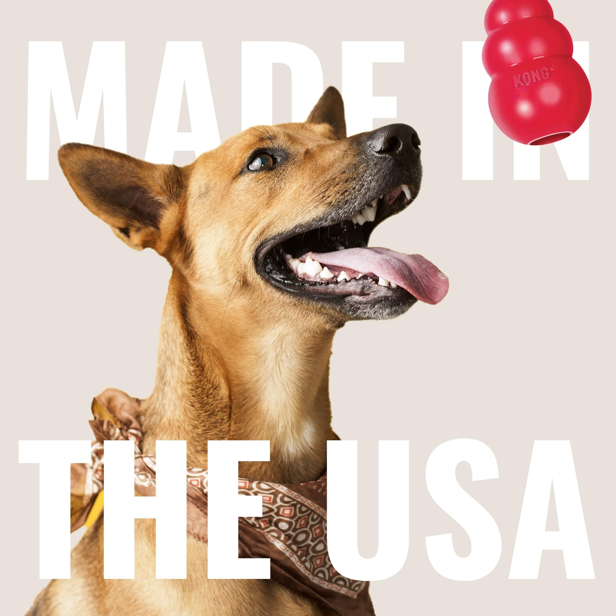 KONG Classic Stuffable Dog Toy - Fetch & Chew Toy for Dogs - Treat-Filling Capabilities & Erratic Bounce for Extended Play Time - Durable Natural Rubber Material - for Large Dogs: Small(2-Pack) Standard Packaging