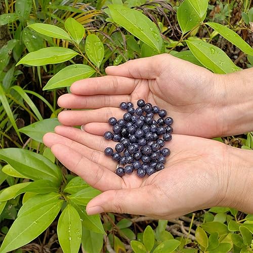 Miniatura 89 de Cuentas de piedra para hacer joyas, piedras preciosas naturales redondas sueltas espaciadoras para pulseras, collares y aretes, Piedra Kit