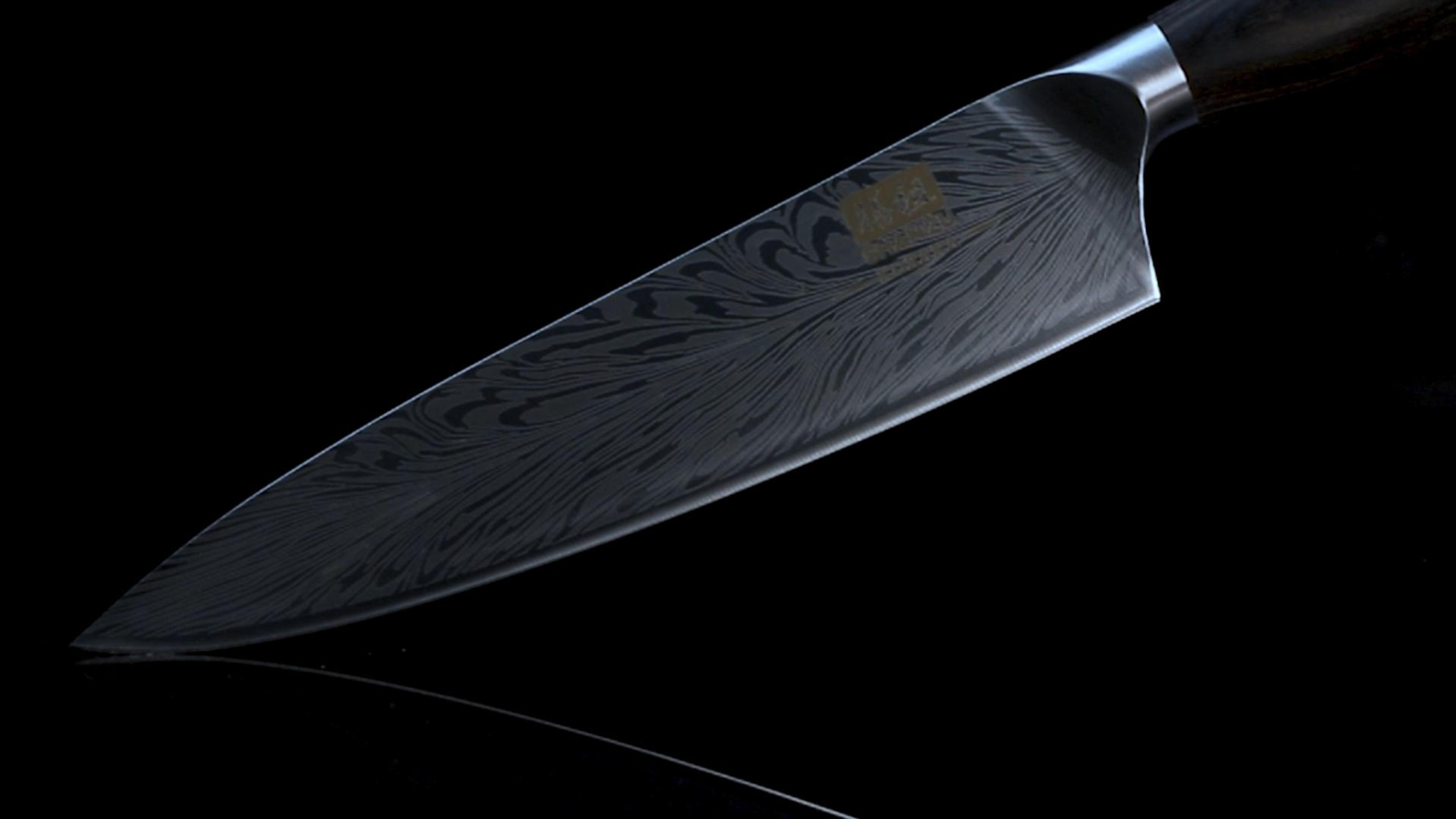 Amazon.com: SHAN ZU Chef Knife in Powder Steel, Japanese Kitchen