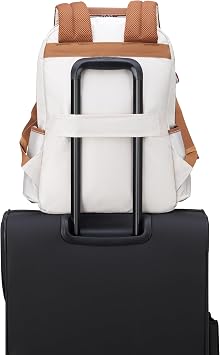 DELSEY PARIS Flanerie SE, Travel Laptop Backpack Luggage, Champagne