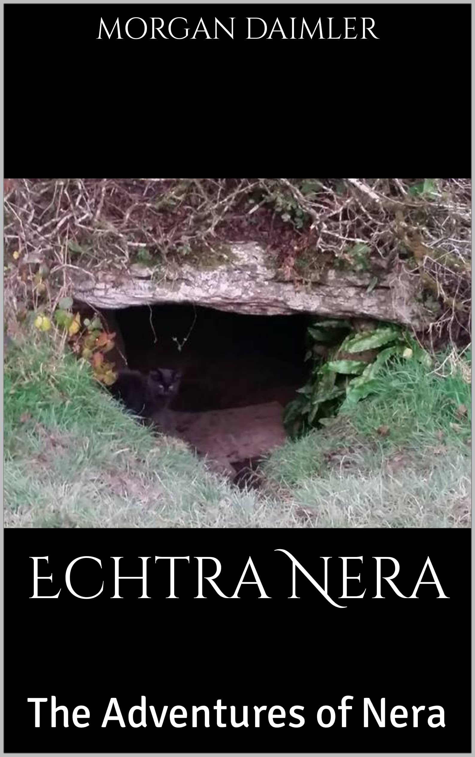 Echtra Nera: The Adventures of Nera