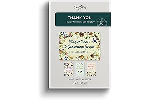 DaySpring 12 Boxed Thank You Cards with Scripture