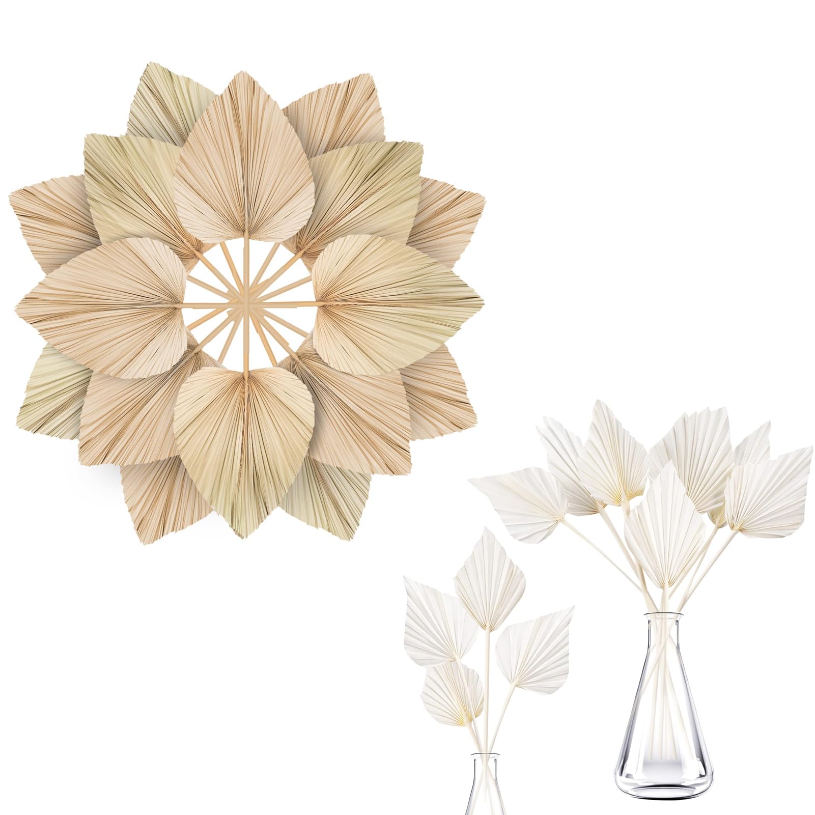 Large Dried Palm Leaves Bulk