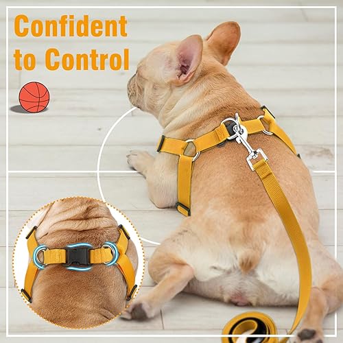 Miniatura 4 de Juego de arnés y correa para perro, arnés ajustable para mascotas, suave y fácil de caminar, arnés de bulldog francés para cachorros pequeños y