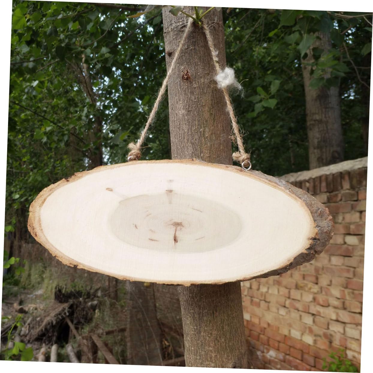 Wooden Hanging Board Oval Pine 5 Pcs for Painting and Drawing