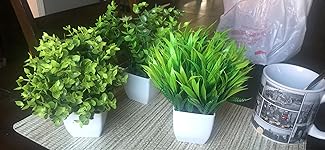 Review Image by Liliana Liliana