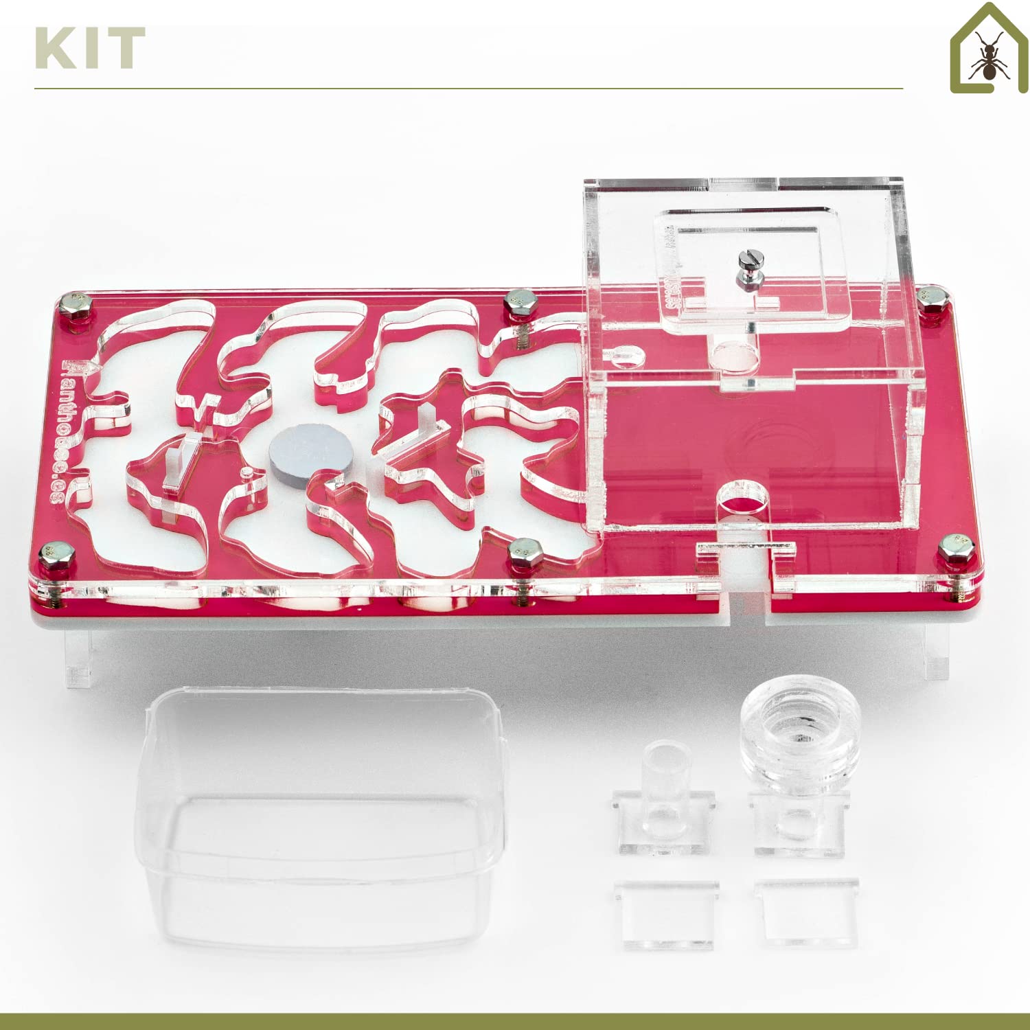 Fourmilière Acrylique AntHouse - Kit Éducatif Avec Fourmis | 10x20 Cm | Transparent | Système Humidité Intégré
