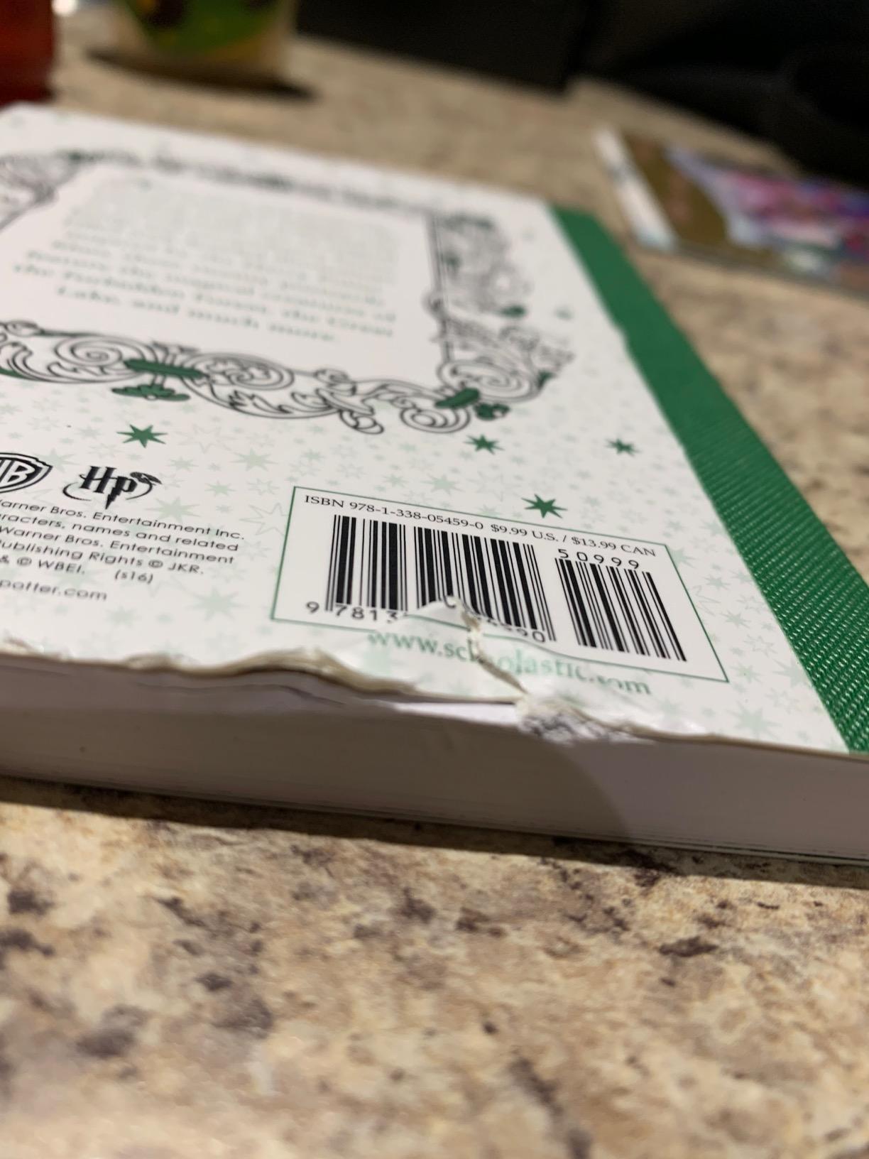 Harry Potter Magical Creatures Postcard Coloring Book: Scholastic ...