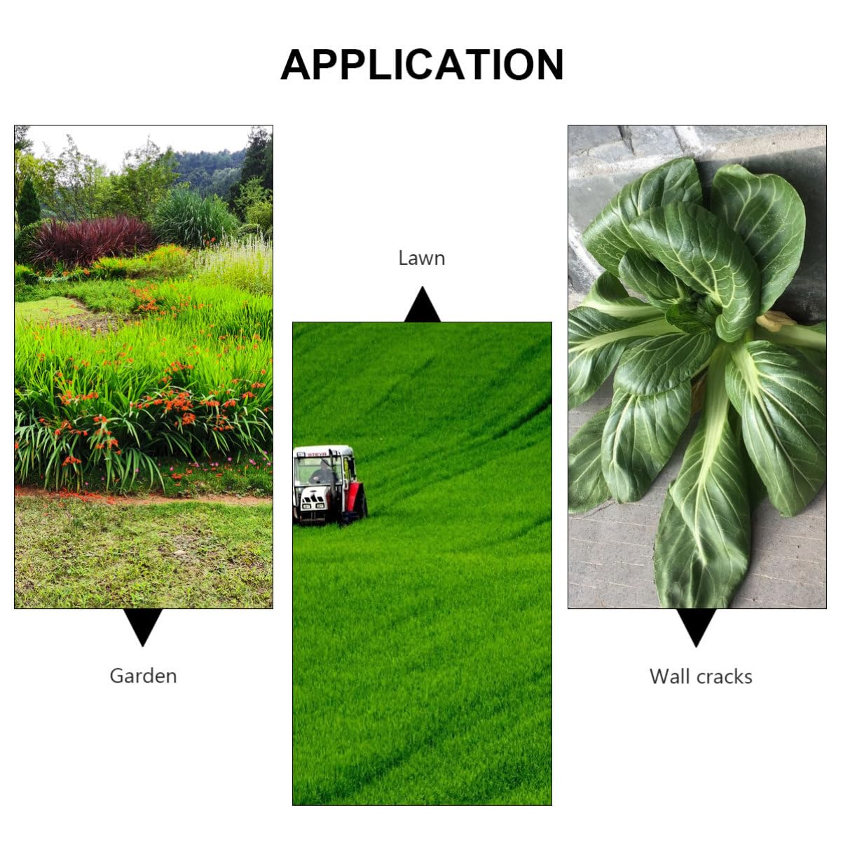 Herramienta Manual para Desherbar Jardín de Acero Extensible | Plata, para Grietas de Muro y Piedras, Uso en Jardinería, Taladro de Mango Largo