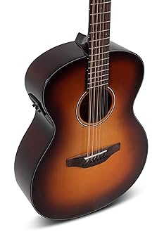 Amazon.com: Applause acoustic guitar Wood Classics AAJ96-1