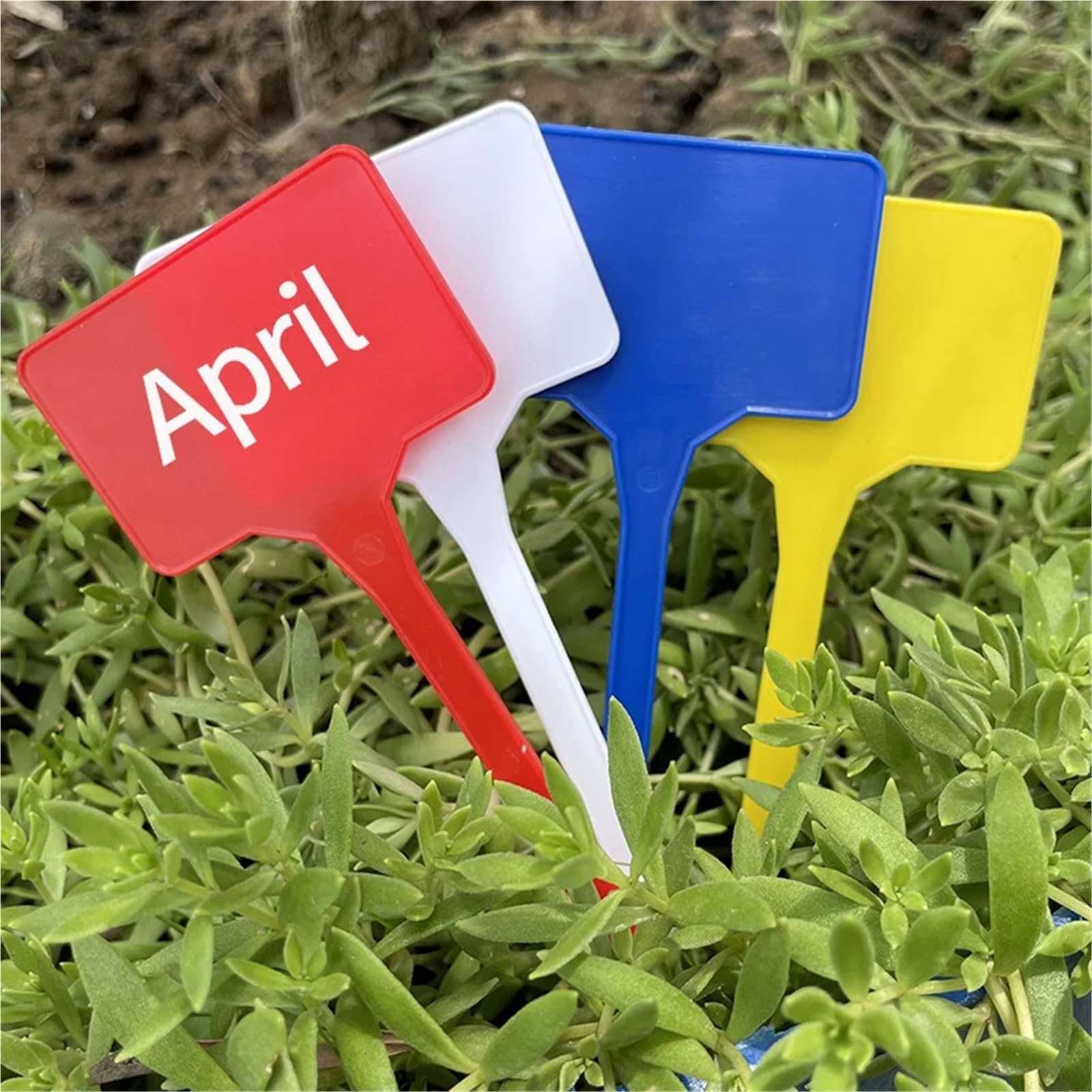Etiquette Jardin Étiquettes de plantes jardin, étiquettes nom serre maison, outils marqueurs d'étiquettes graines étanches 10/50/100 pièces(White,100pcs)