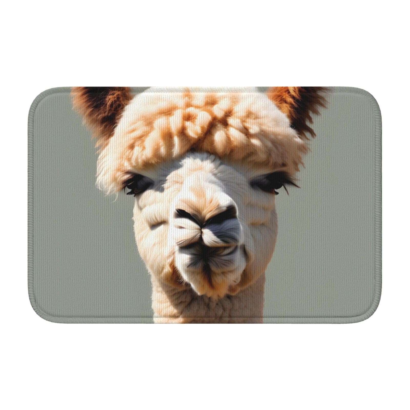 Tapis de sol alpaga avatar 40x60 cm JKIEGOQ antidérapant avec ourlet résistant