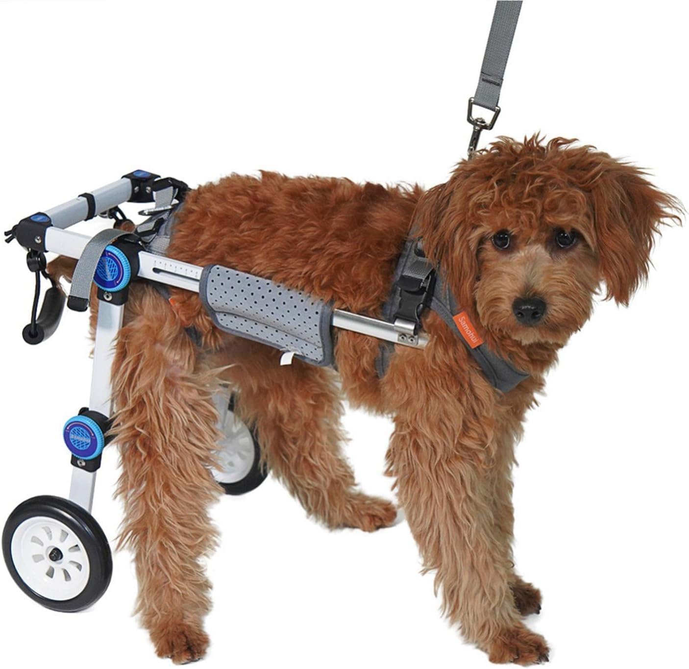 Dog Wheelchair, Adjustable Dog Cart Collapsible Dog Wheelchair Pet