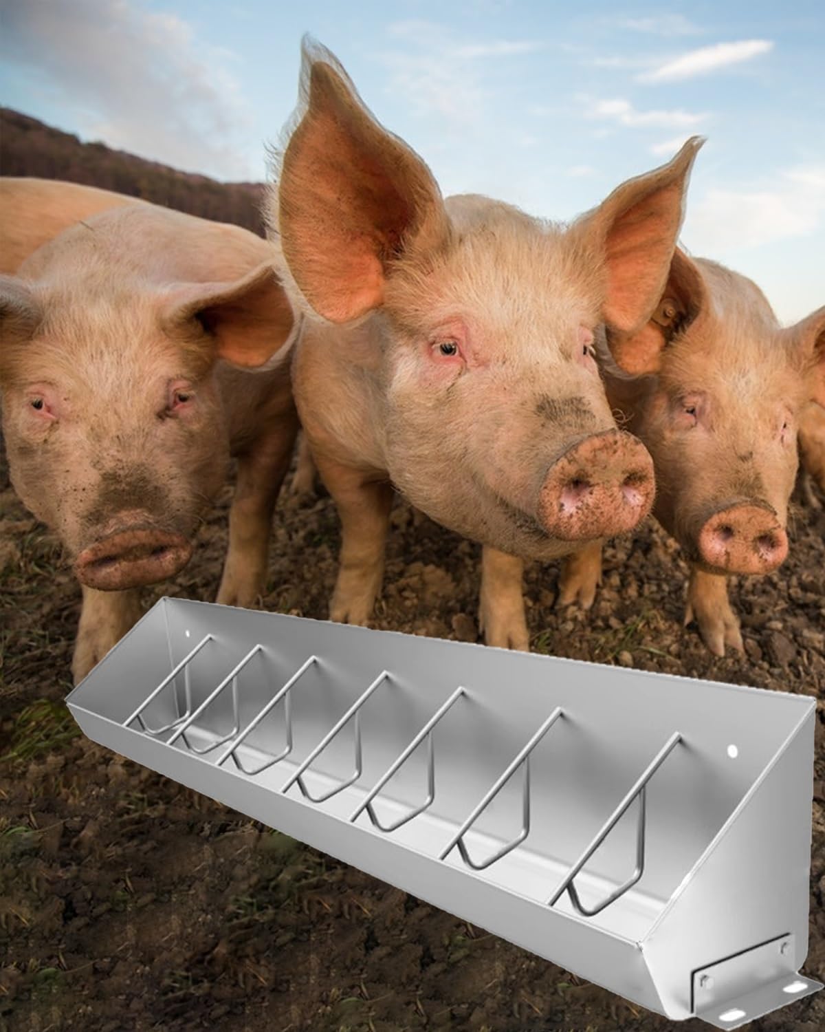 Mangiatoia per suini, Resistente, a 5/8/10 Scomparti - Mangiatoia in Metallo a Bassa Altezza per l'alimentazione del Bestiame all'aperto, Ideale per suini, bovini e Cavalli (150 cm/5 Piedi)