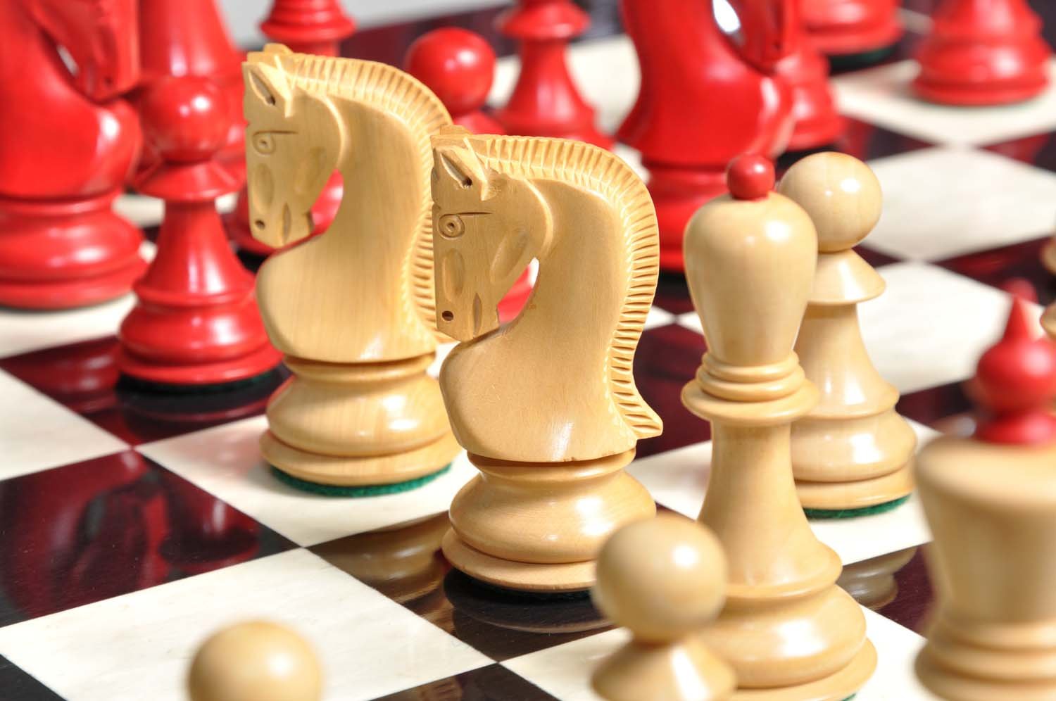 Chess Mentor 3 - Scholastic Edition Chess Software