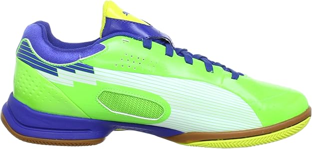 puma evospeed futsal shoes