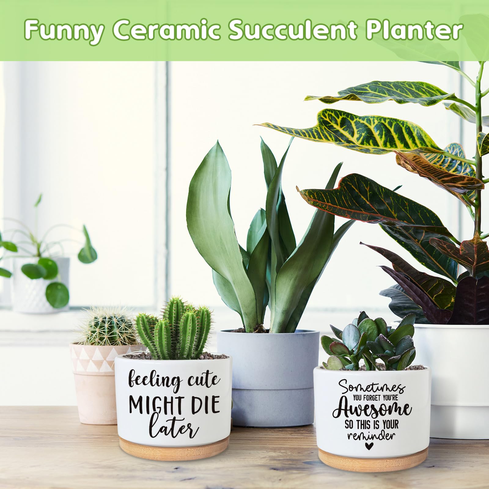 Future Dead Plant Tontopf Mit Bambus-Untersetzer – Lustiges Geschenk Für Gärtner, 3,5 Zoll, Weiß