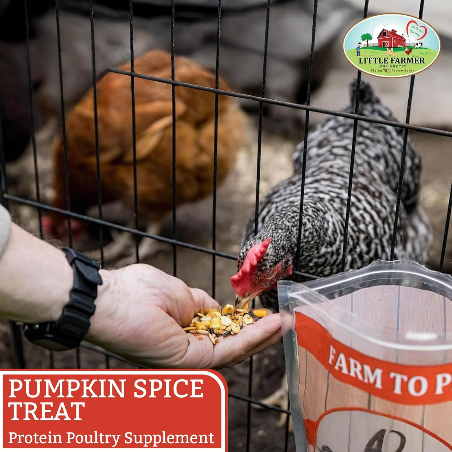 Pumpkin Spice & Everything Nice Poultry Treat for Chickens, High Protein Mealworms Blend with Pumpkin Seeds & Safflower, Food Supplement for Chicken Feed & Chicken Coop Use