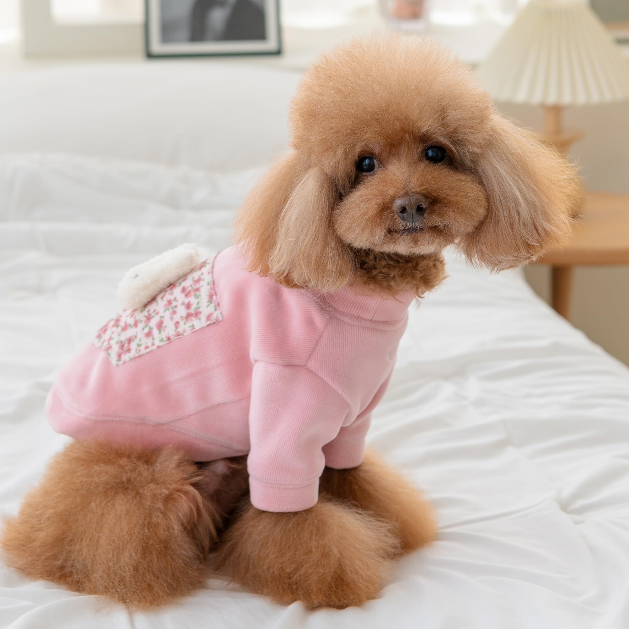 Amazon | PINKAHOLIC イースター。 DORA ピンク 犬 S サイズ