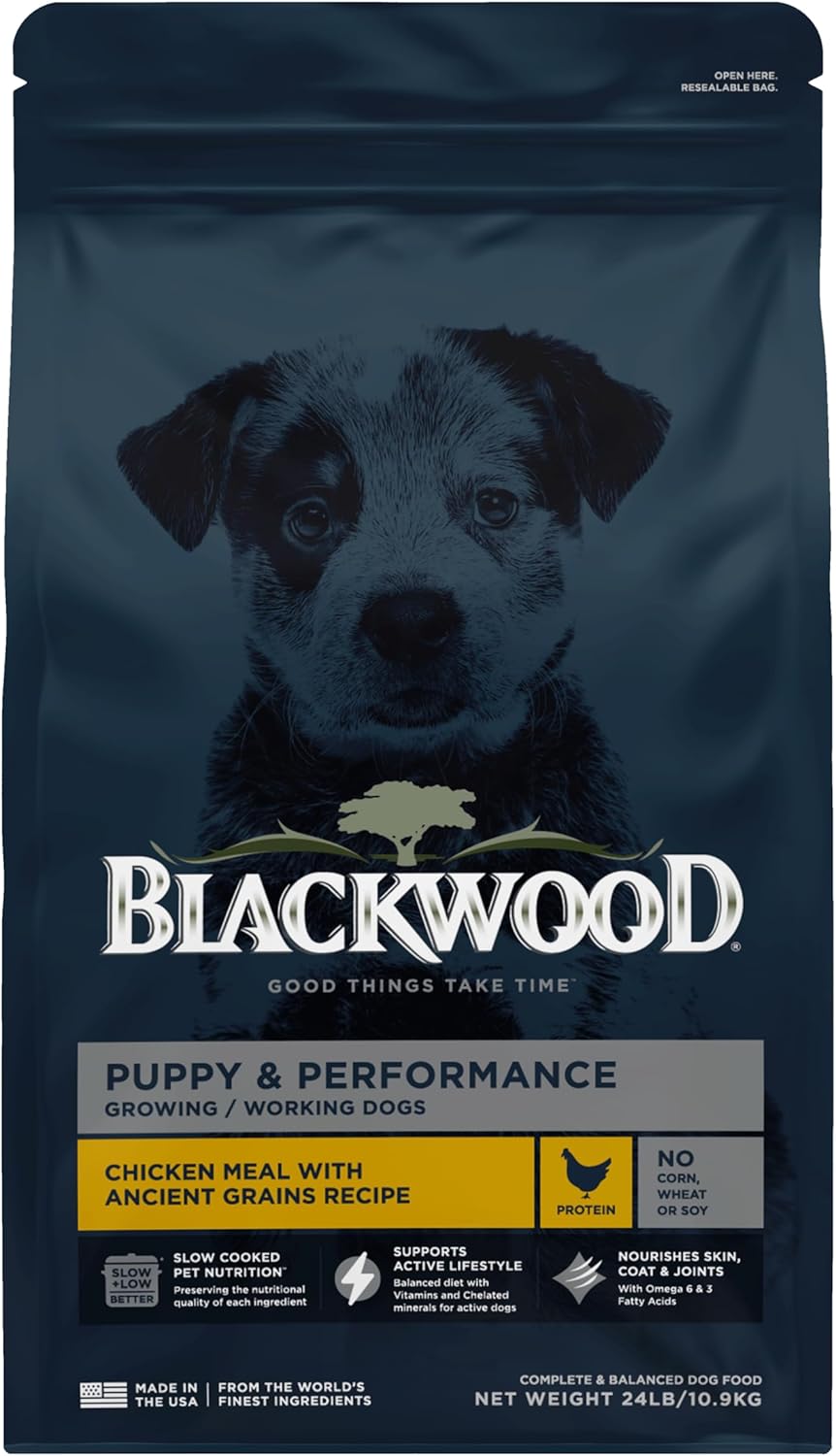Blackwood Puppy & Performance Dry Dog Food, Chicken Meal with Ancient Grains, 24 Pound Bag for Growing & Working Dogs, Supports Active Lifestyle
