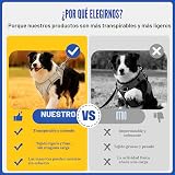 Ver la foto 6