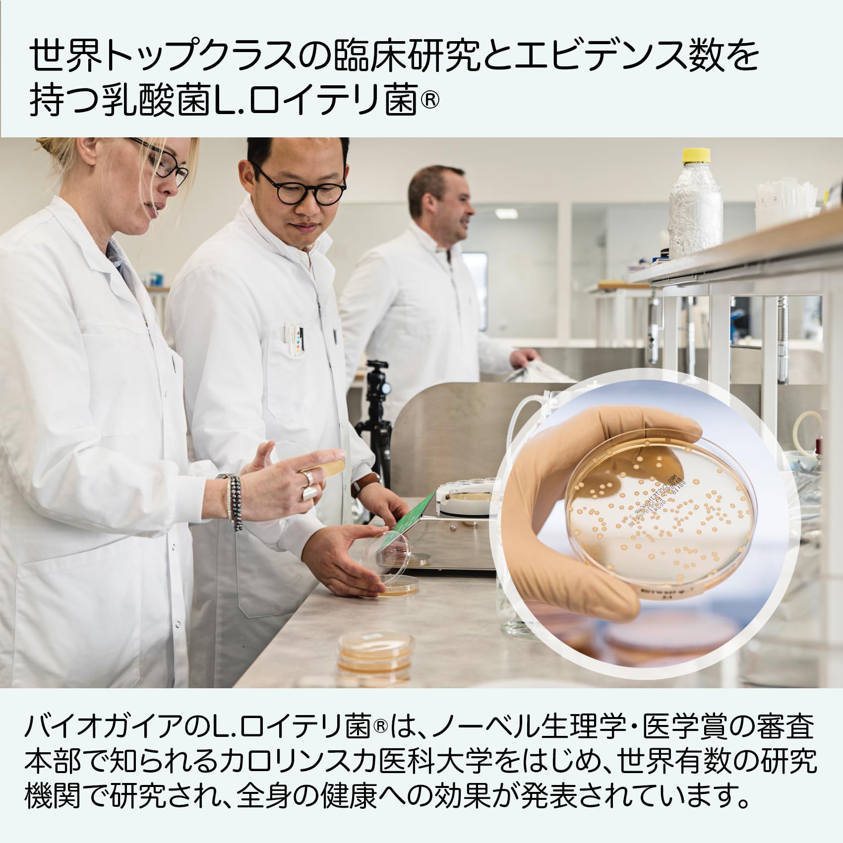 Amazon | バイオガイア 2026年4月賞味期限のためセール中 ロイテリ菌