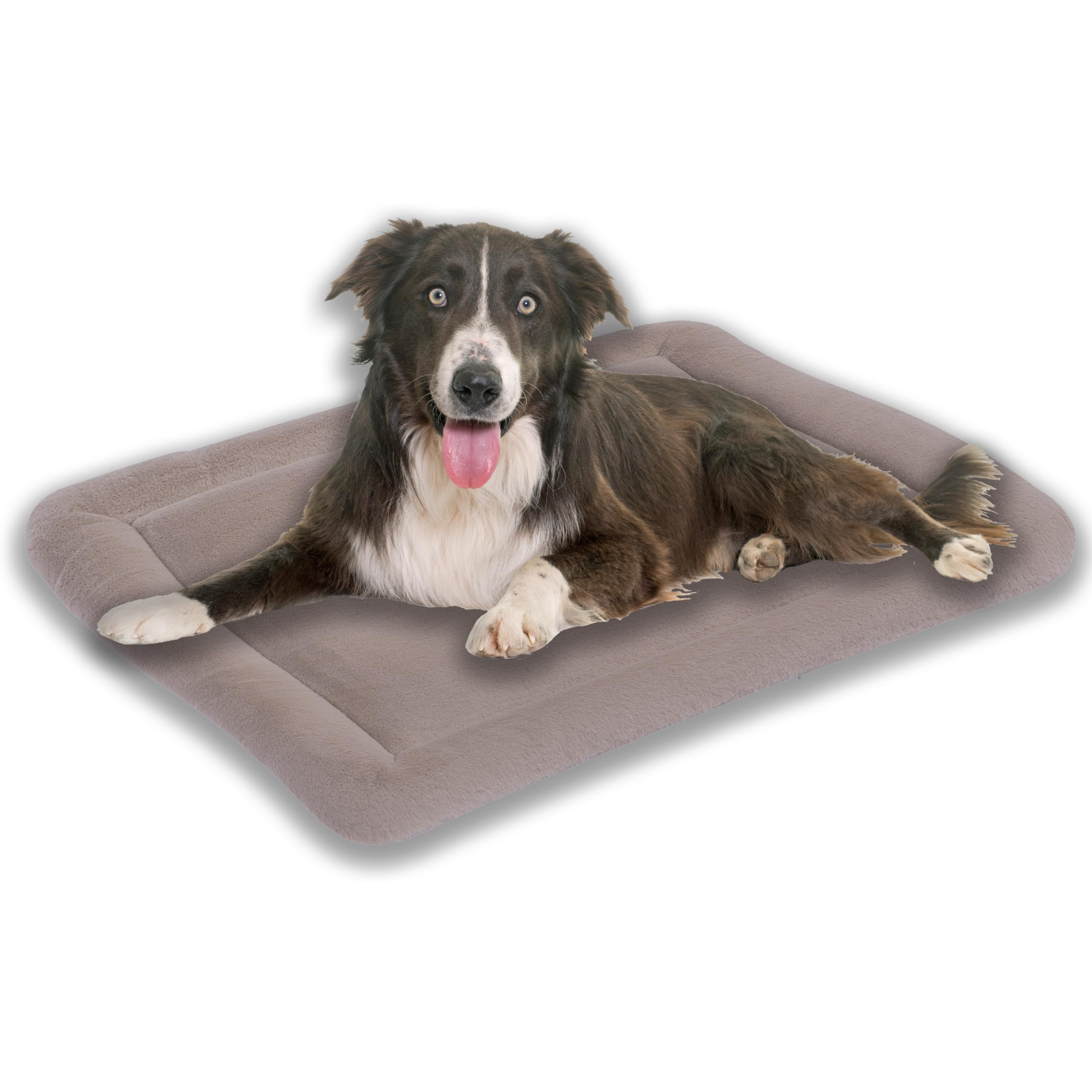 MyBestBuddy Hundekissen Komfort Hellbraun/beige 80x60 cm L, allergikerfreundlich (100% Polyester), rutschfest - 40°C waschbar mit flauschigem Bezug - Hundematte BZW. Hundebett für mittelgroße Hunde
