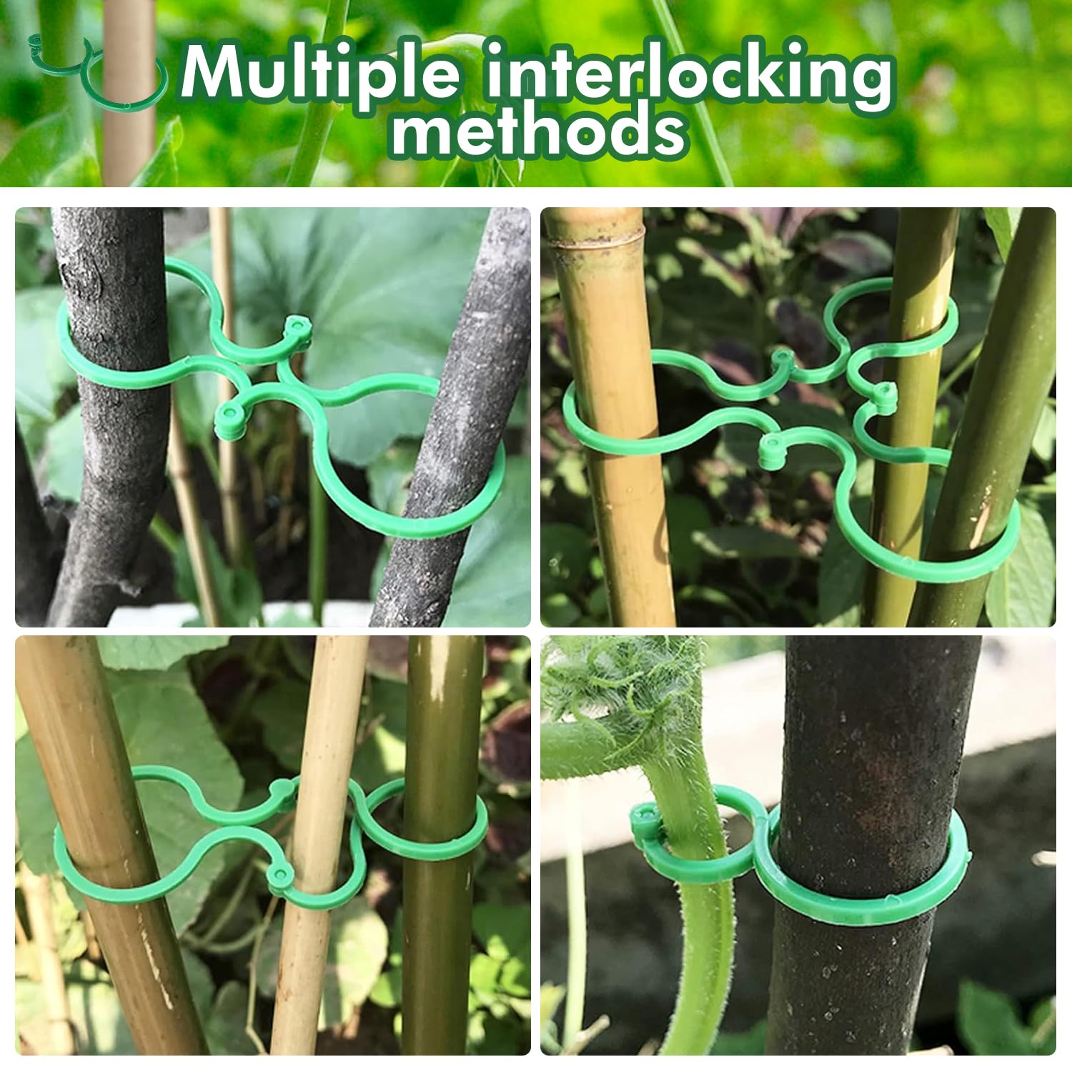 Gardzen Pflanzenclips-Set – 80 Stück (40 Groß, 40 Klein) Zum Befestigen Von Tomaten, Rosen & Kletterpflanzen An Stäben & Rankhilfen