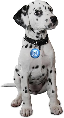 Miniatura 3 de Mattel Cachorro Tweets Azul