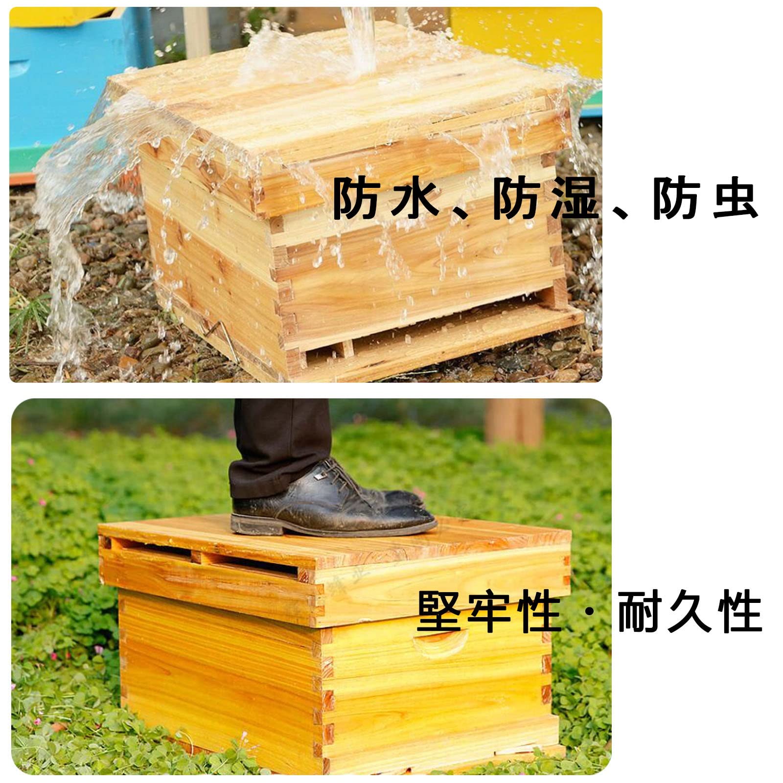 Amazon.co.jp: ミツバチ ミツバチ養殖 巣箱 フローハイブ養蜂