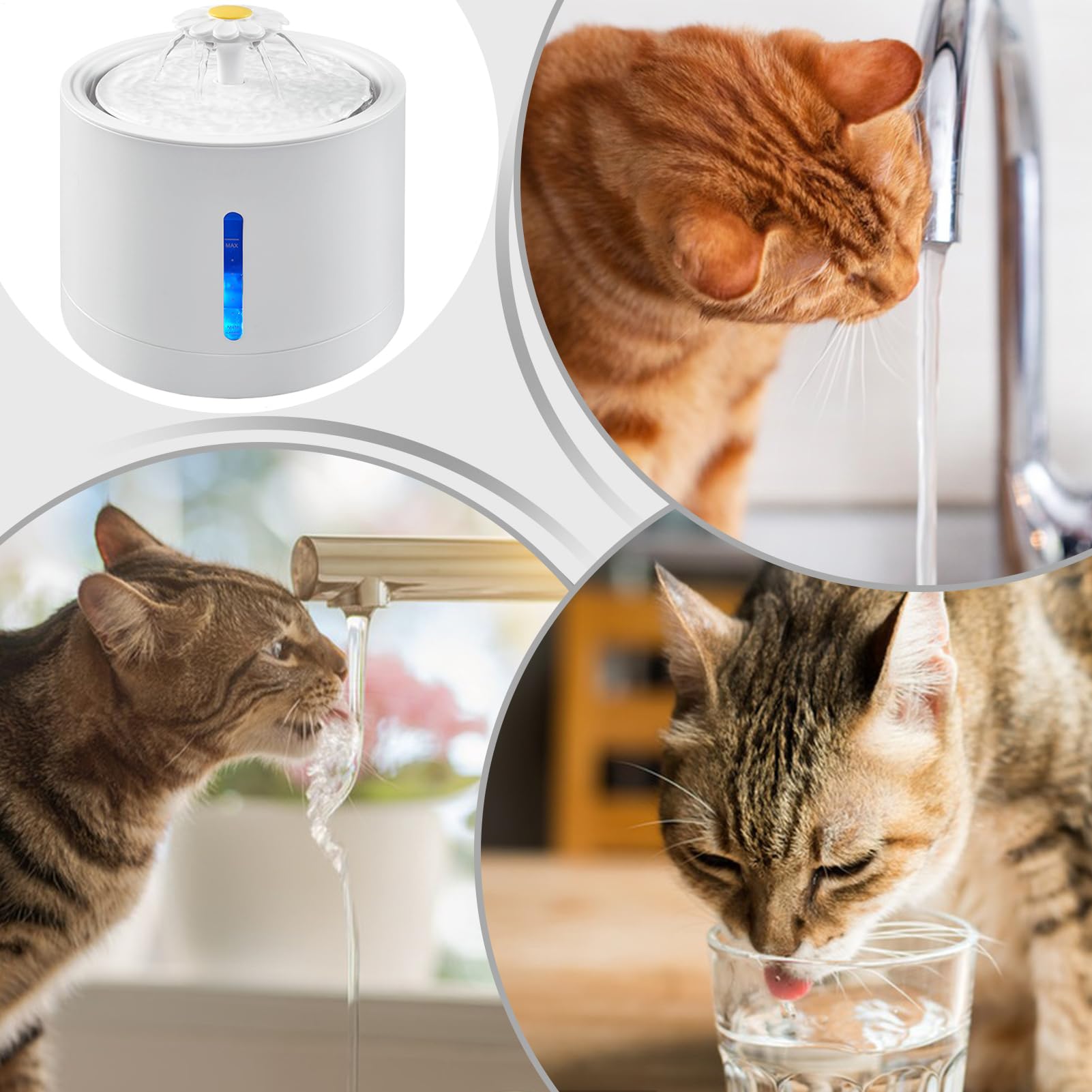 per gatti con dispenser d'acqua, ricaricabile, con automatica | 2 litri per abbeveratoio per gatti, ciotola per cani, gattini, fontana automatica per gatti e
