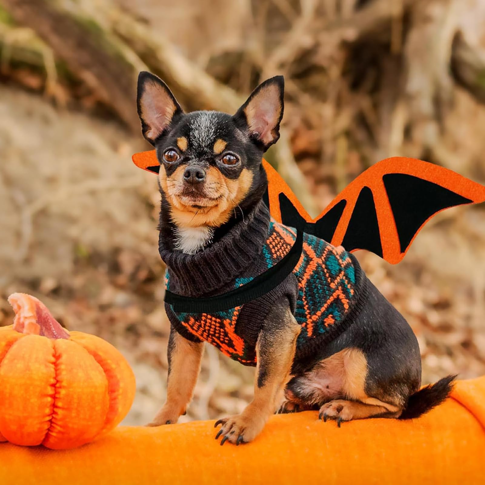 Fledermausflügel Hundekostüm Halloween - Lustiges Haustier Kostüm Mit Kürbisglocken