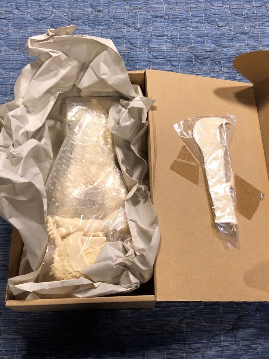 Amazon.co.jp: 18 不死のゾッド HEADLONG ベルセルク ガレージキット