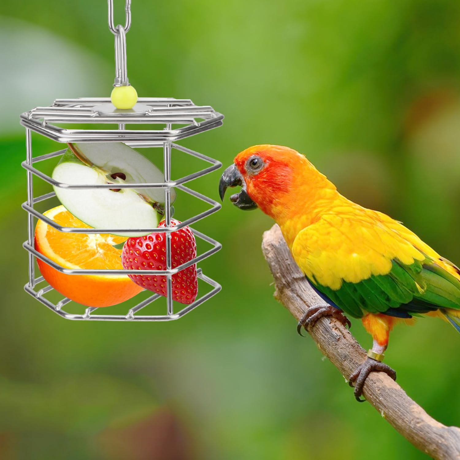 Hypeety Mangeoire unique à suspendre pour cage à oiseaux avec blocs