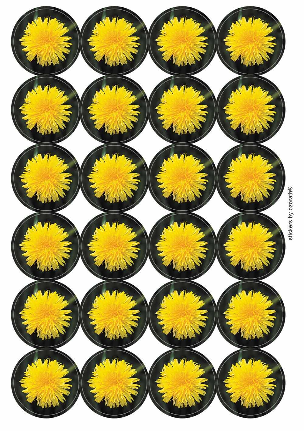 Ozorath Multicolor Dandelion Flower Circular Matt Paper Stickers A4 Sheet Of 24 (Each Sticker Is 45Mm Diameter)