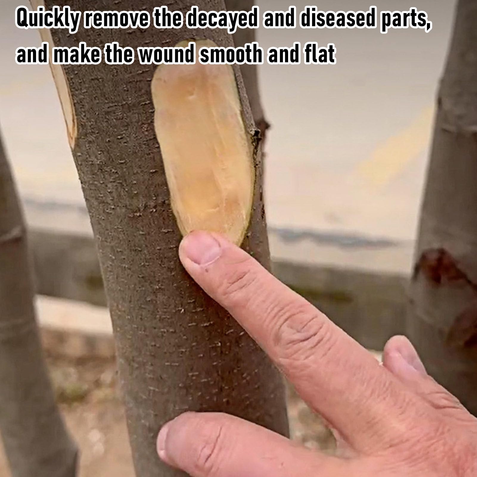 Annadue Smerigliatrice Angolare Flessibile per Alberi da Frutto a Batteria per la Rimozione della Corteccia Marcia Nei Frutteti con Motore in Rame e Protezione in Metallo Spesso