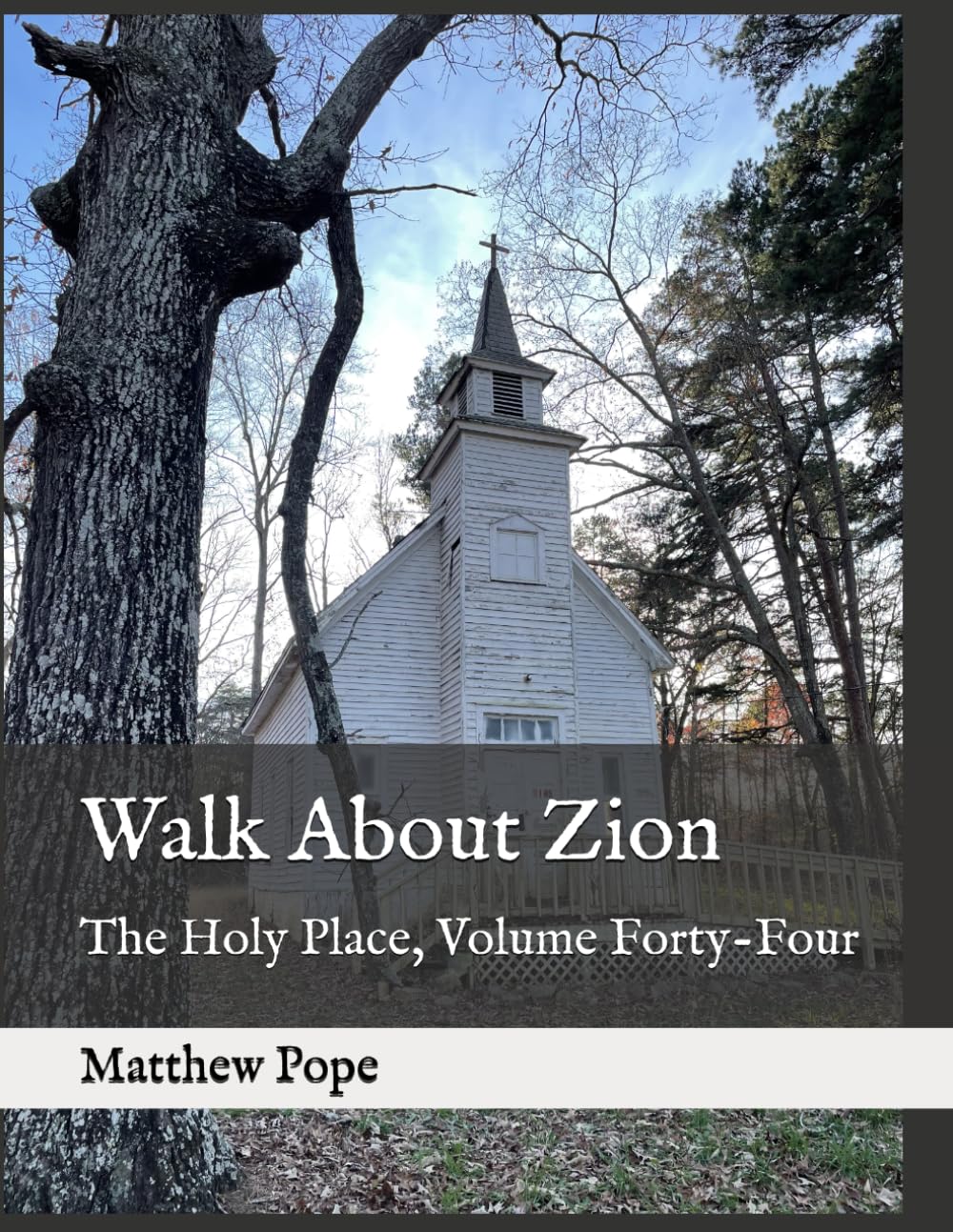 Walk About Zion: The Holy Place, Volume Forty-Four (Images On High)