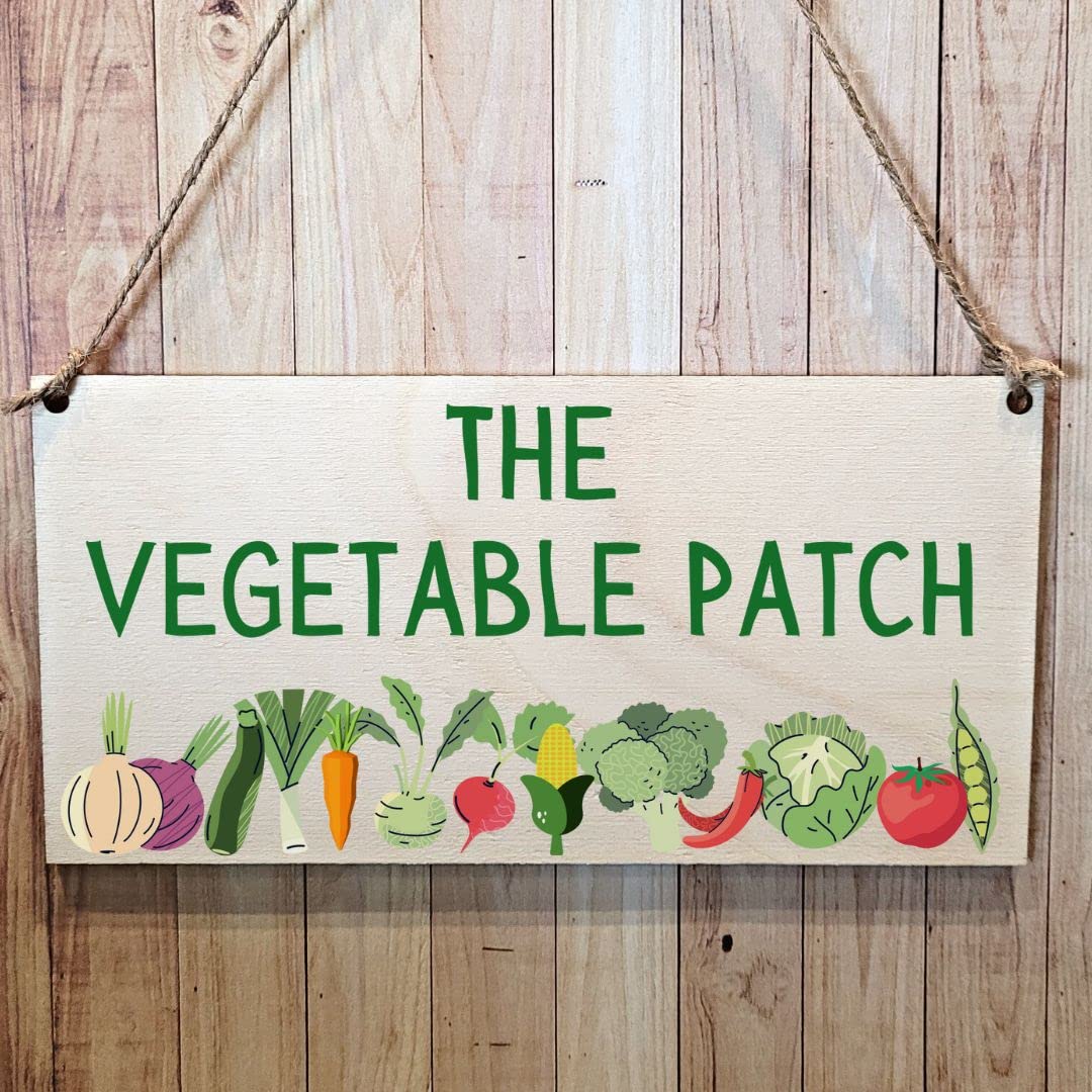 Second Ave Gift Company Multicolor Second Ave The Vegetable Patch Wooden Hanging Gift Friendship Rectangle Gardening Shed Sign Plaque