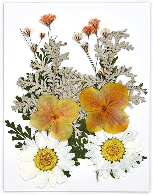 Amazon Diy樹脂型充填樹脂ペンダントネックレスジュエリーの花を作る 結婚式の花の手配のために Color Dry Flower 37 造花 オンライン通販