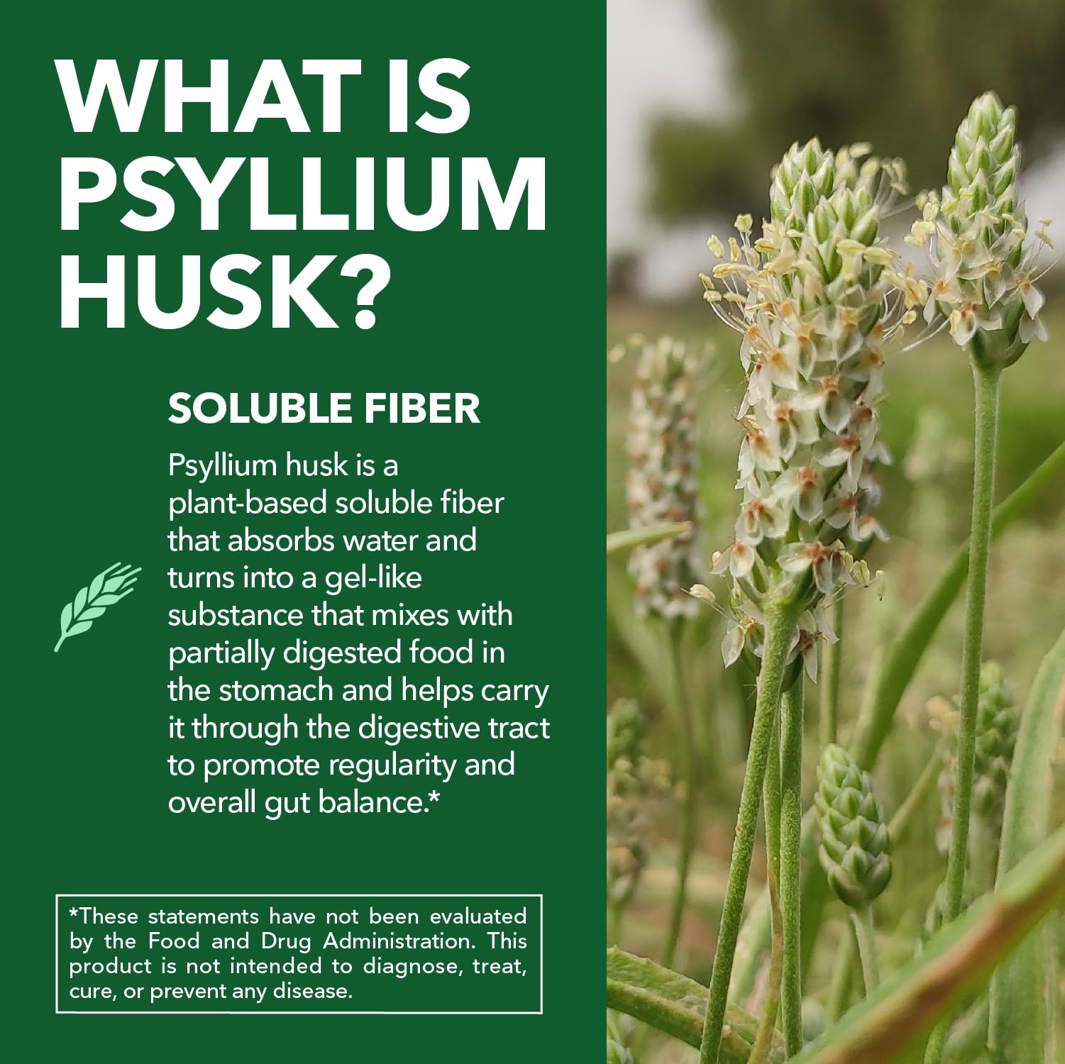 Vegan Psyllium Husk Fiber Capsules, GLP-1 Nutritional Support, 270 Pills — Amazon image 5