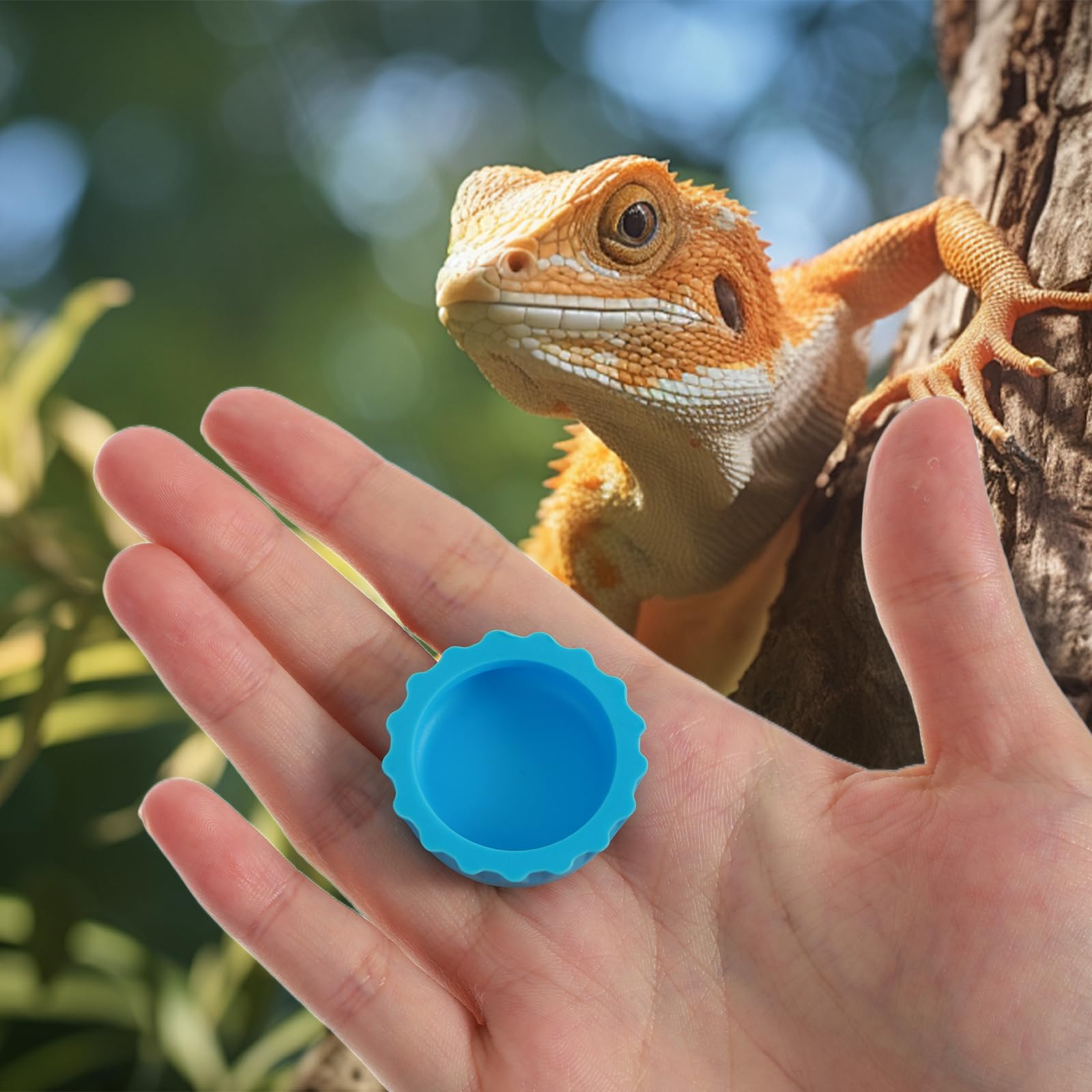 12 STK Silikon Kronengecko Wasserschale Terrarium Kleine Futter Und Wassernapf Für Reptilien, Leicht Zu Reinigendes, Bunte Terrarium Zubehör Für Bartagamen, Schildkröten, Krabben Und Kleine Haustiere