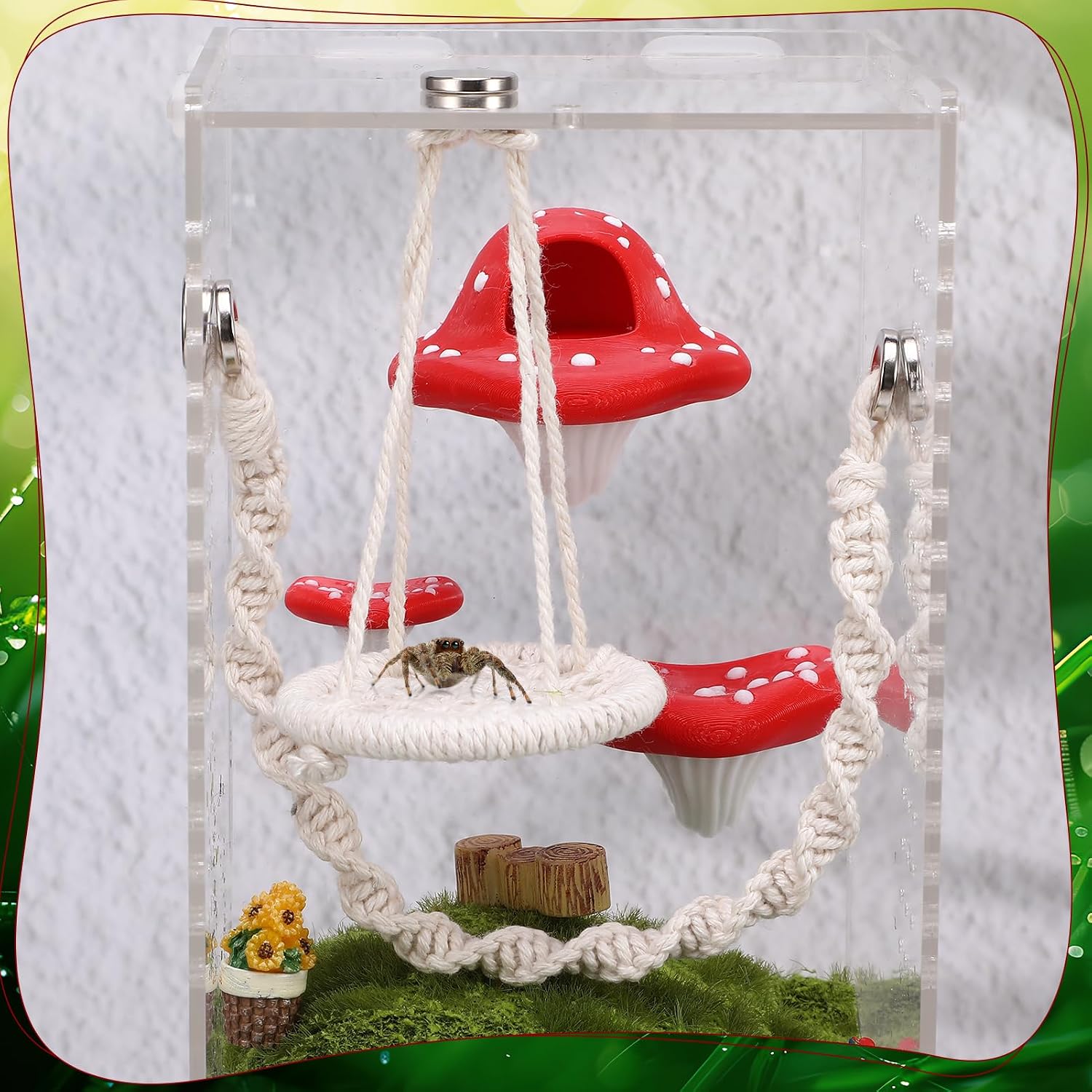 Jumping Spider Enclosure Accessories, 5 Pcs Magnetic Mushroom image 4